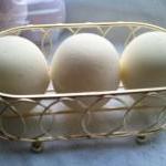 12 bath bombs 1 oz each (Fu..