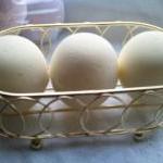 12 bath bombs 1 oz each (Fu..