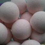 12 bath bombs 1 oz each (Co..